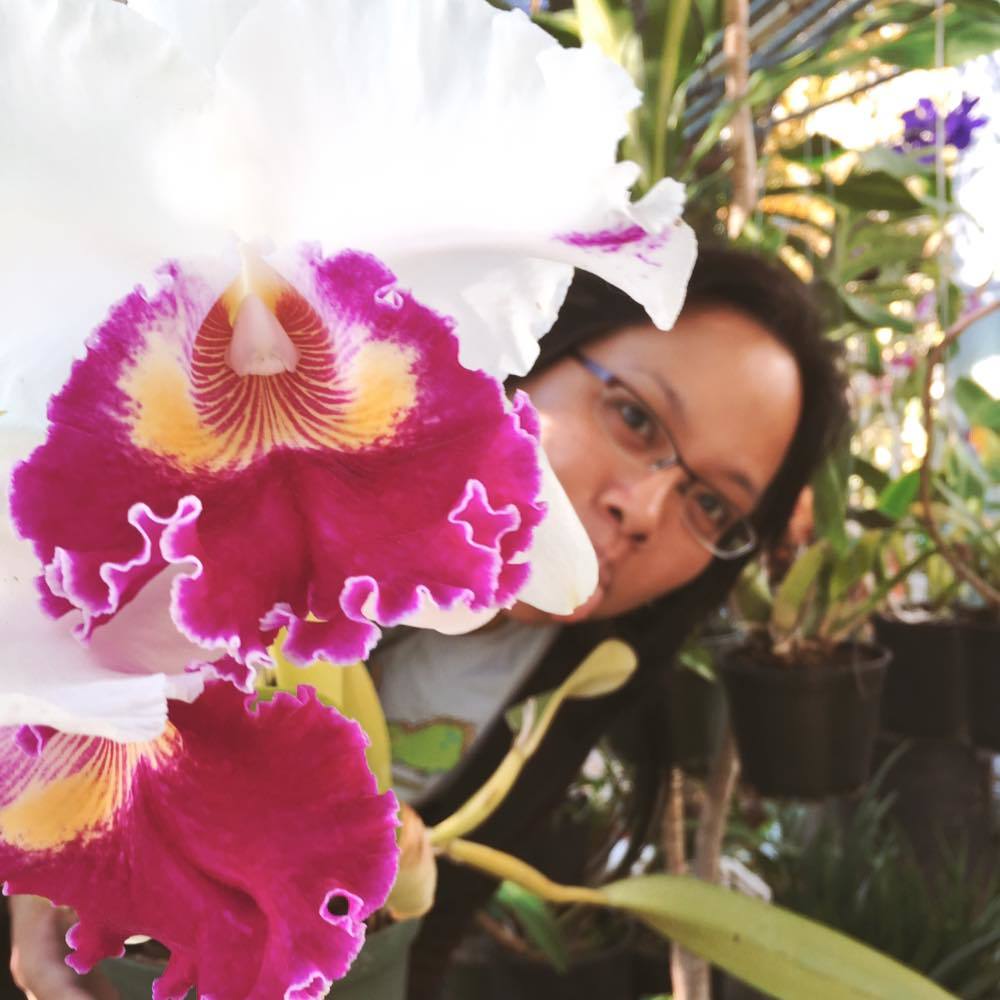 Meet your Posher, Tarika